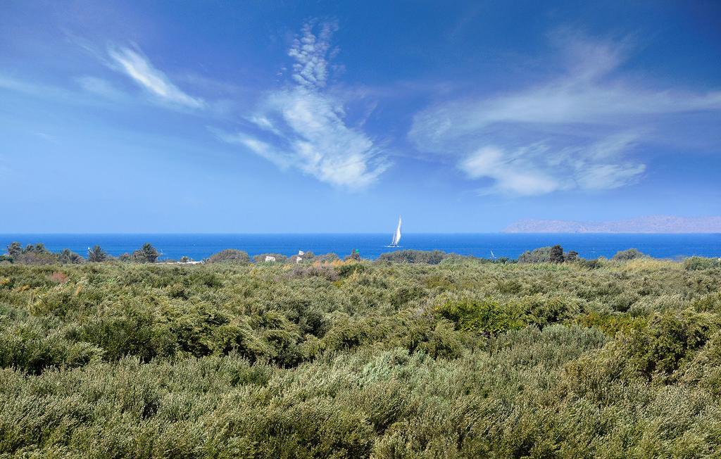 Olive Coast Suites Palekastro Extérieur photo